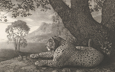 英国 | 乔治·斯塔布斯（George Stubbs,1724-1806）高清作品集708.7MB