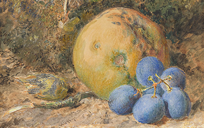 英国 | 威廉·亨瑞·亨特（William Henry Hunt,1790-1864）高清作品集788.2MB