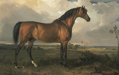 英国 | 詹姆斯·沃德（James Ward,1769-1859）高清作品集5.0GB