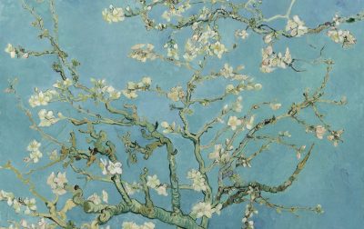 盛开的杏花 Blossoming Almond Tree，梵高 1890