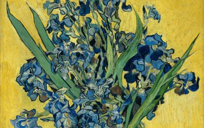 瓶中的鸢尾花 Still Life with Irises，梵高 1890-1890