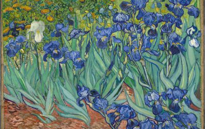 鸢尾花 Irises，梵高 1889