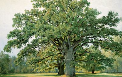 俄罗斯 | 伊凡·伊凡诺维奇·希施金(Ivan I. Shishkin)高清作品集2.4G