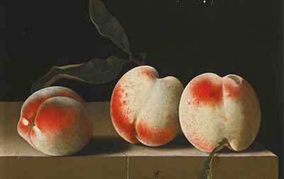 荷兰 | 阿德里安·柯尔特（Adriaen coorte,1665-1707）高清作品集208.6MB