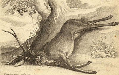 捷克 | 温泽尔·霍尔（Wenceslaus Hollar,1607-1677）高清作品集7.1GB