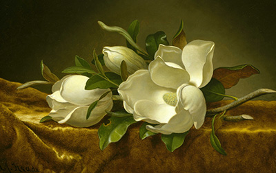 美国 | 马丁·约翰逊·赫德(Martin Johnson Heade,1819-1904)高清作品集645.2MB